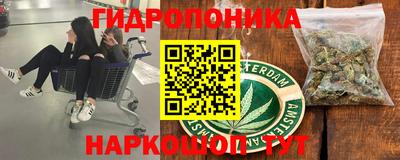 индика Волгодонск