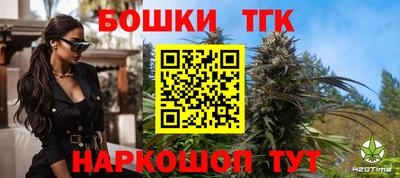 индика Волгодонск